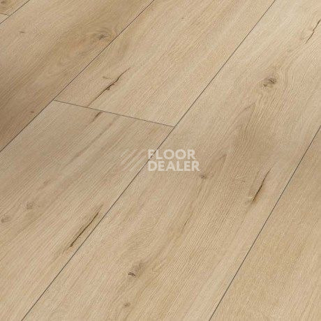 Ламинат Parador Classic 1050 4V 1744698 Дуб Pure Loft фото 1 | FLOORDEALER